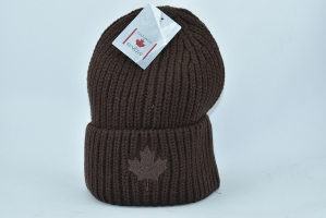 Canada Snow