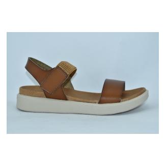 CC Resort brun