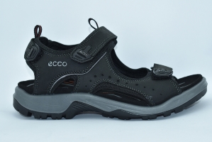 Ecco