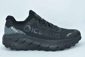 Icebug