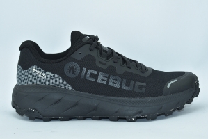 Icebug
