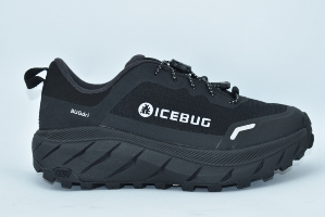 Icebug